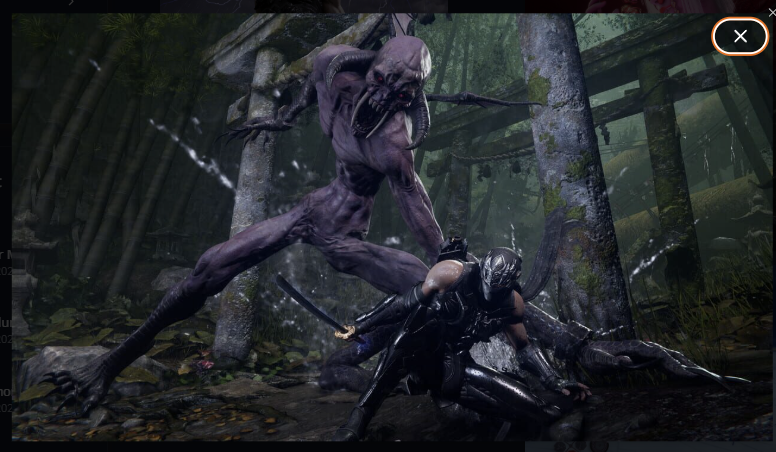 Cấu hình PC Ninja Gaiden 4